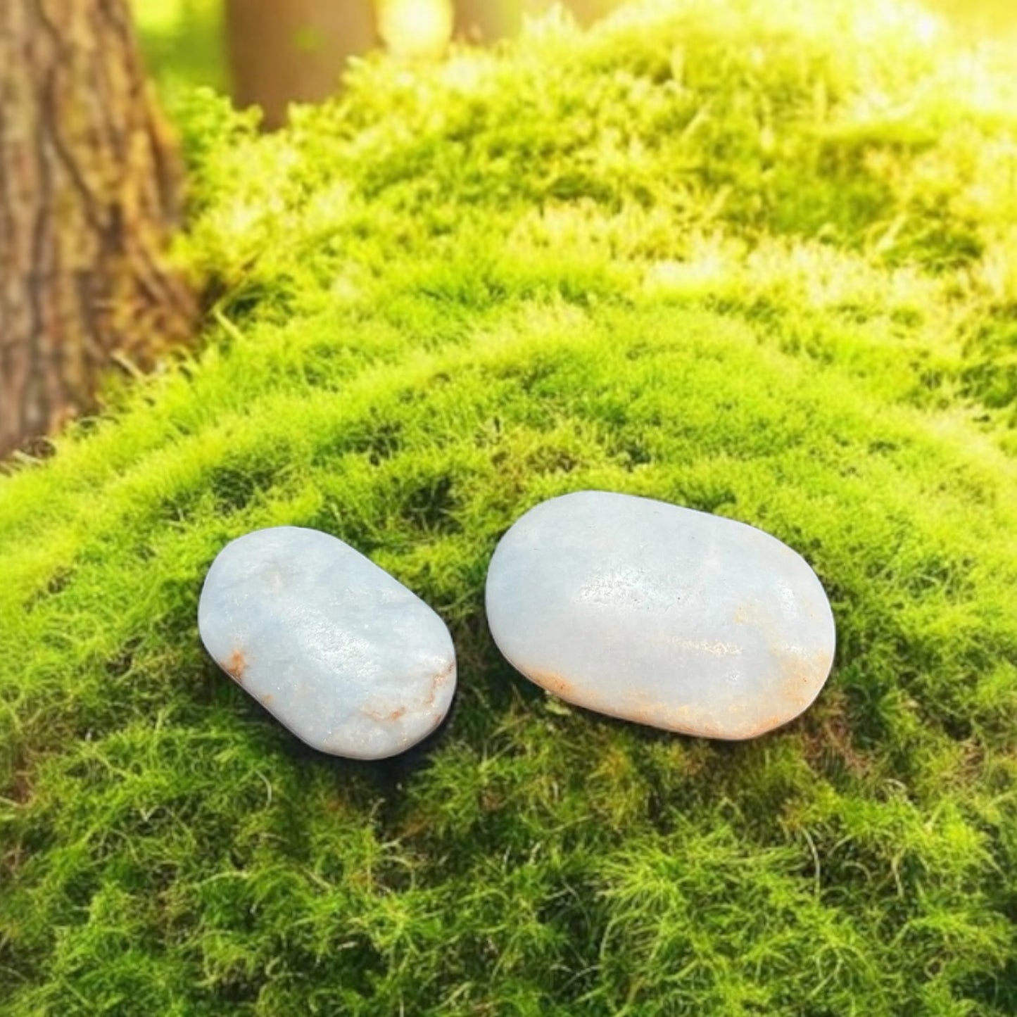 Angelite Palm Stone *