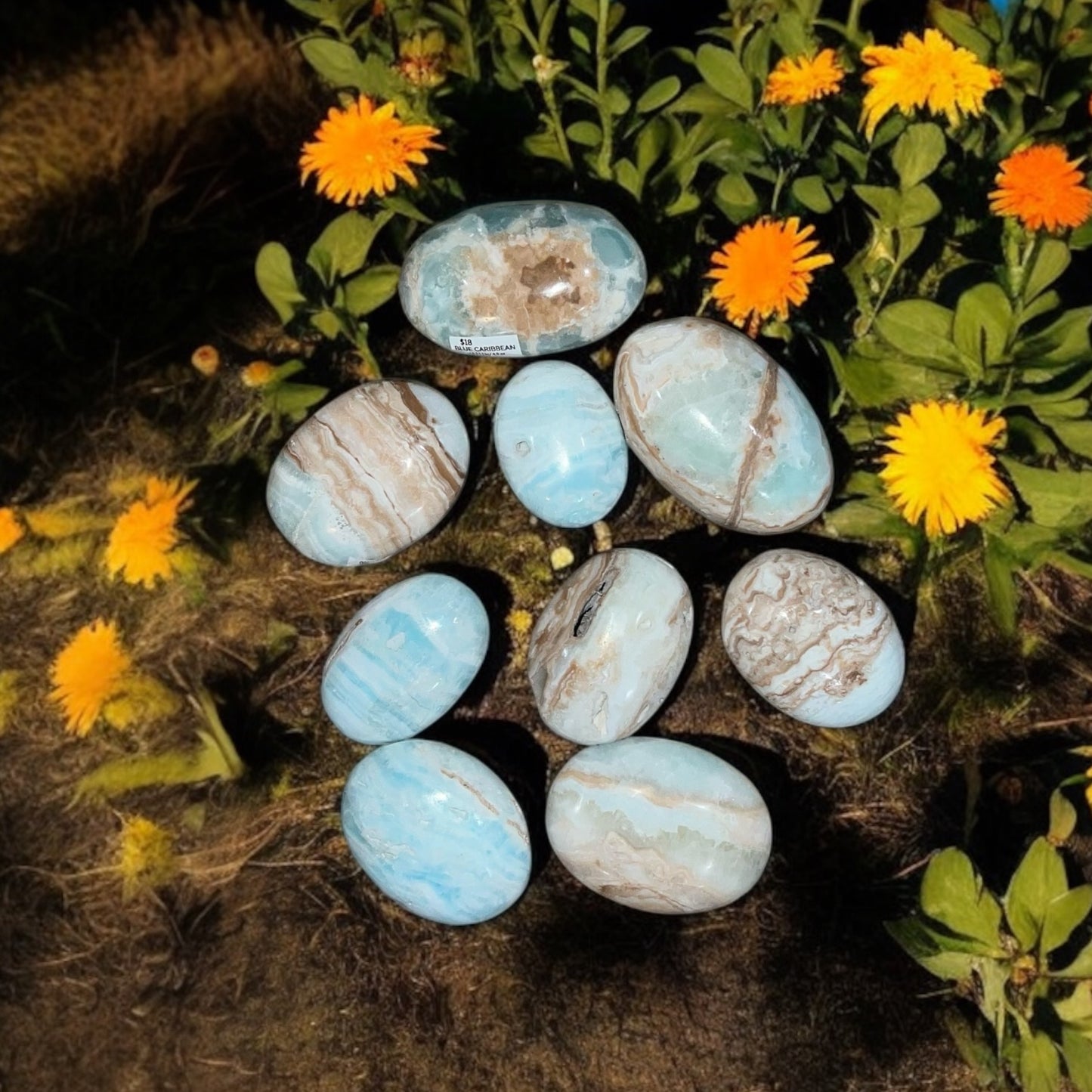 Blue Caribbean Calcite Palm Stone *