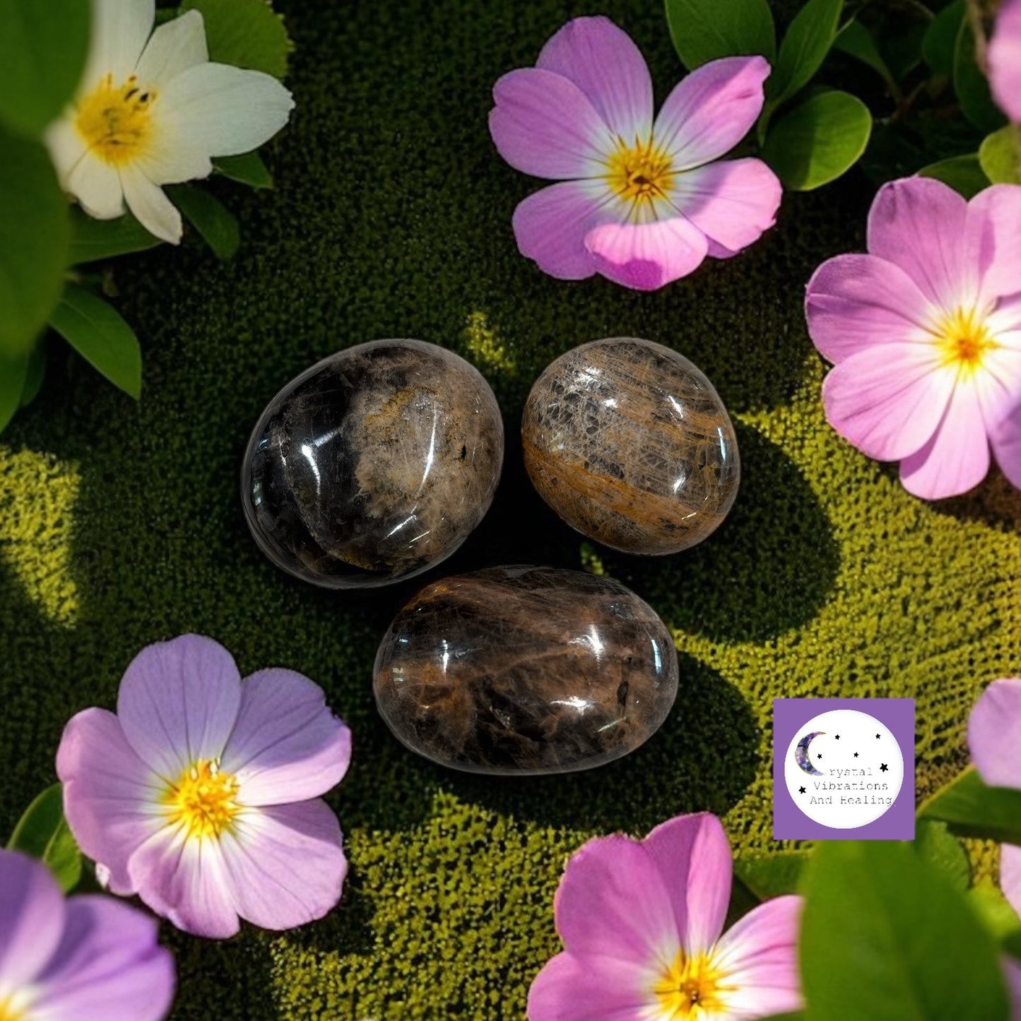 Black Moonstone Palm Stone *