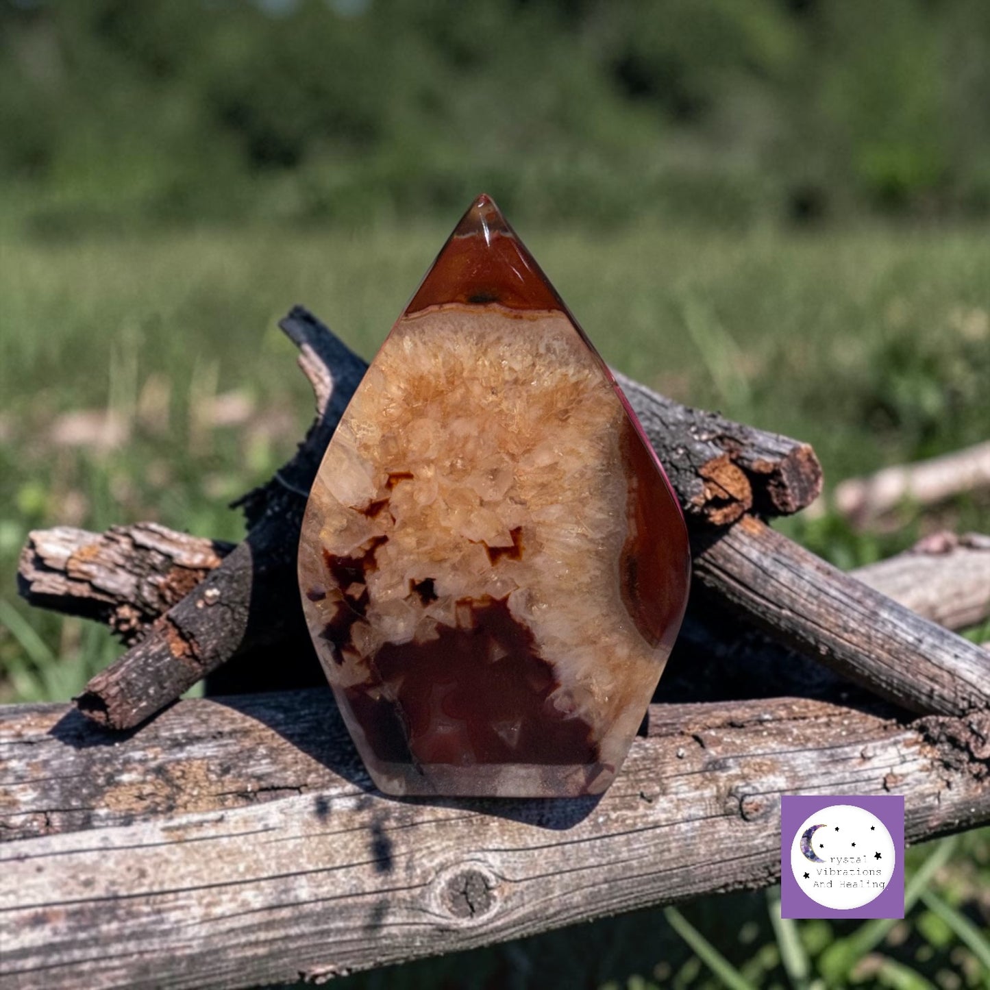 Carnelian Freeform Teardrop