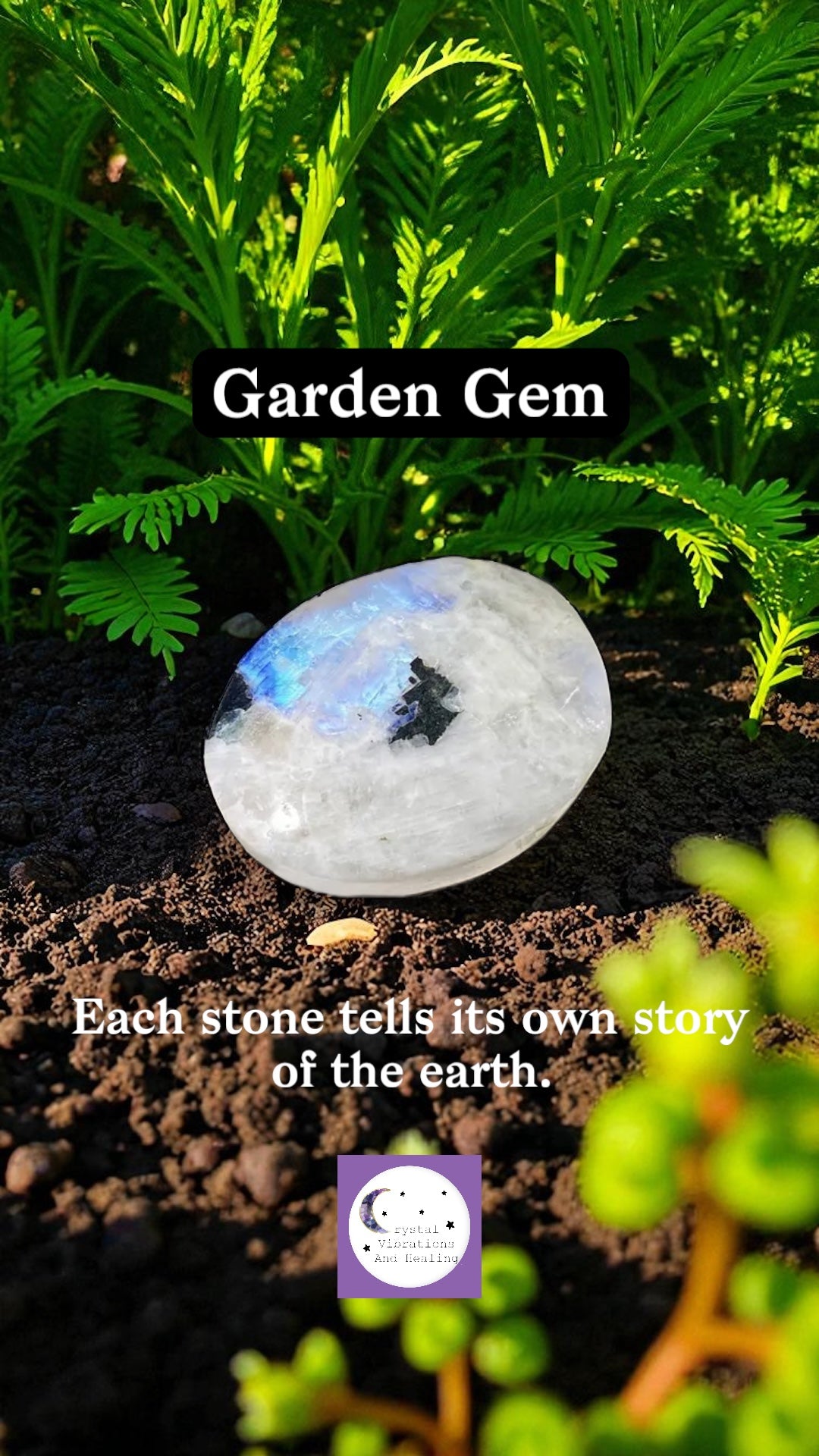 Rainbow Moonstone Palm Stone