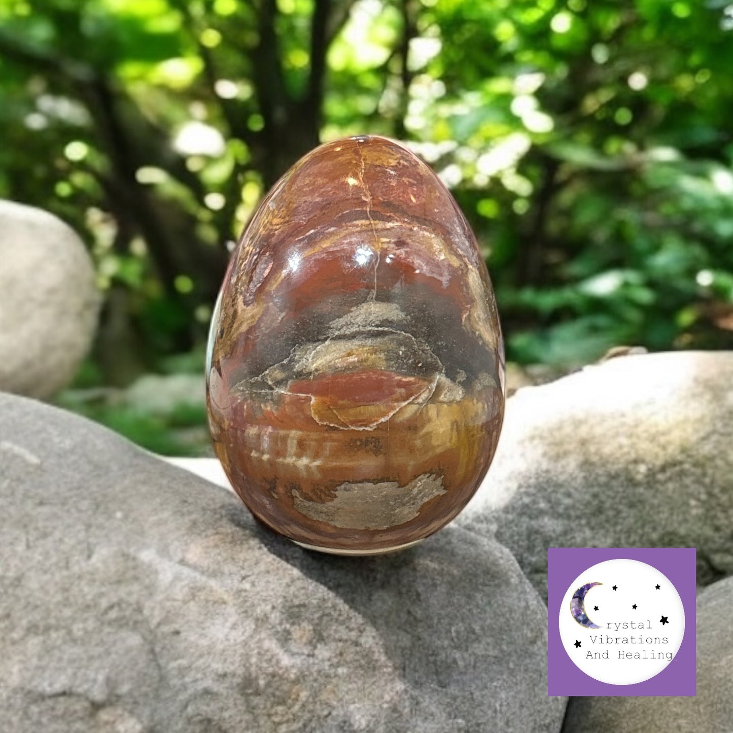 Petrified Wood Jasper Egg Carving *