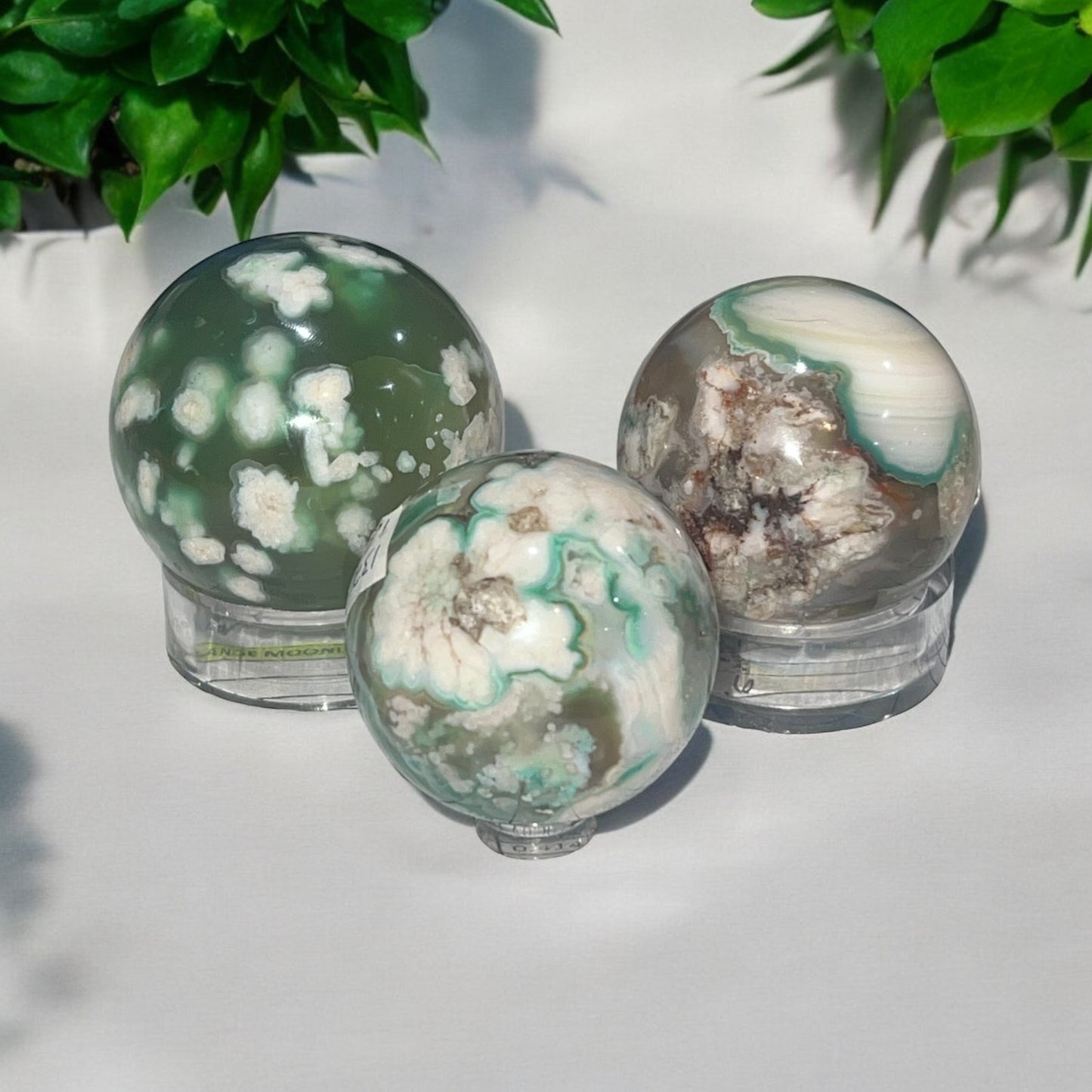Green Flower Agate, Green Cherry Blossom. Green Sakura Sphere
