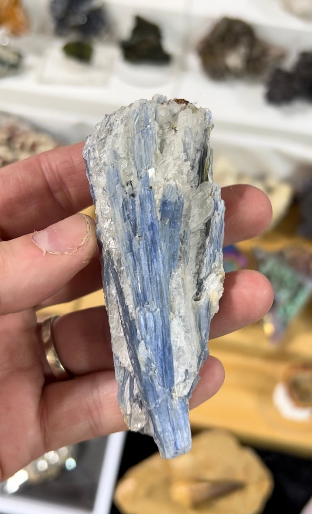 Blue Kyanite Specimen