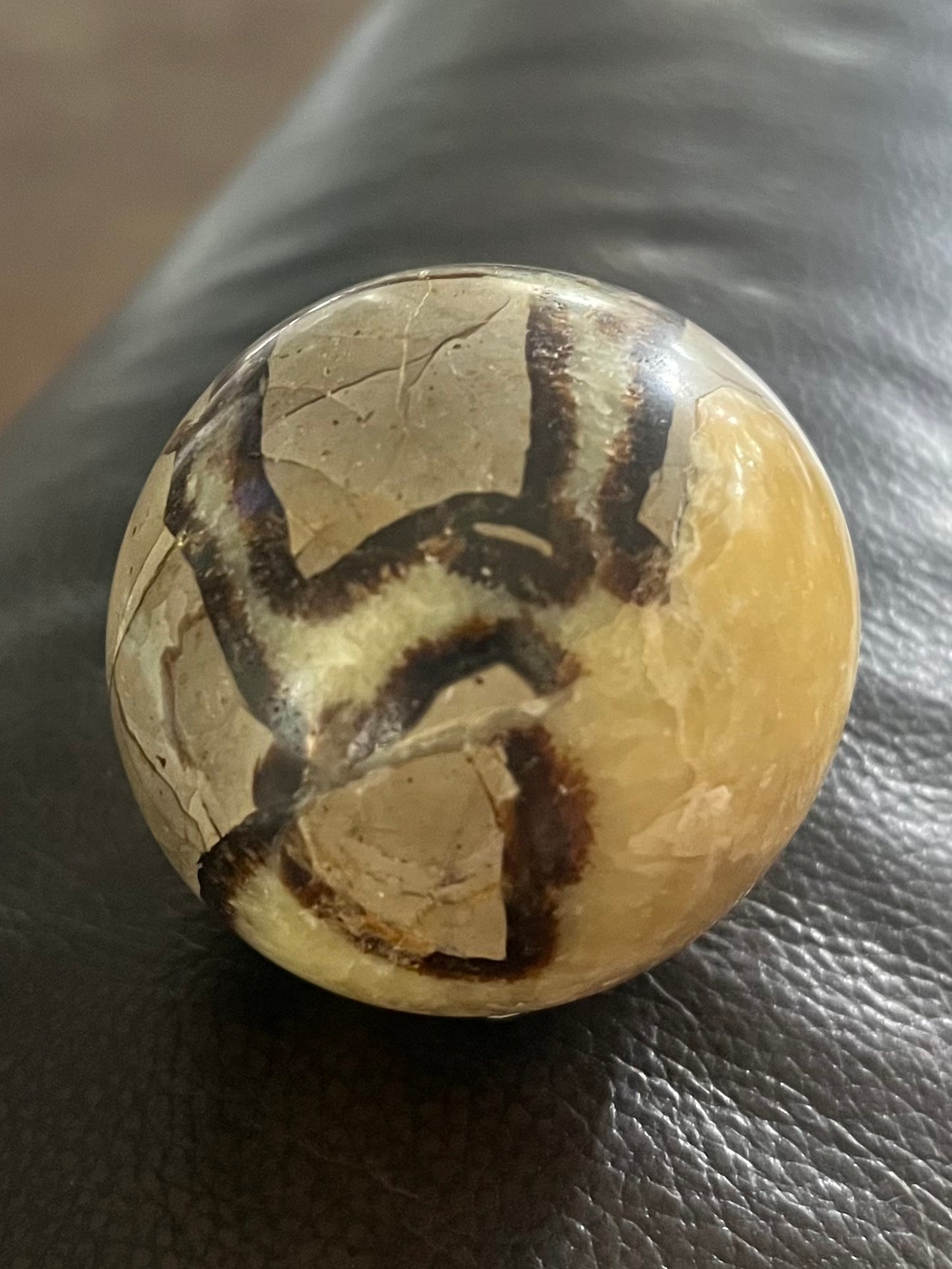 Septarian Spere