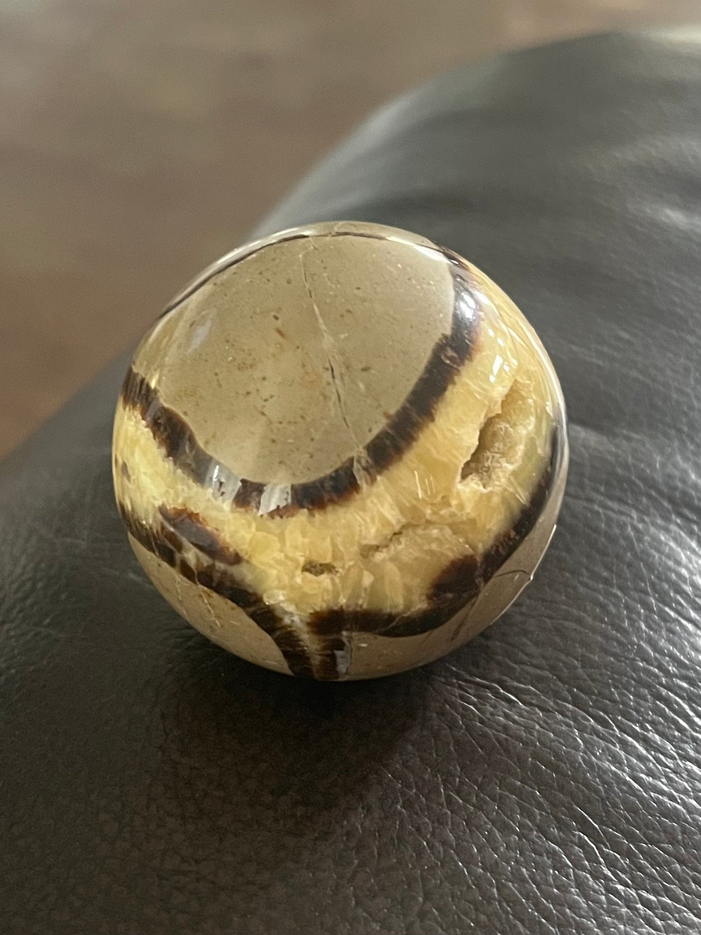 Septarian Spere