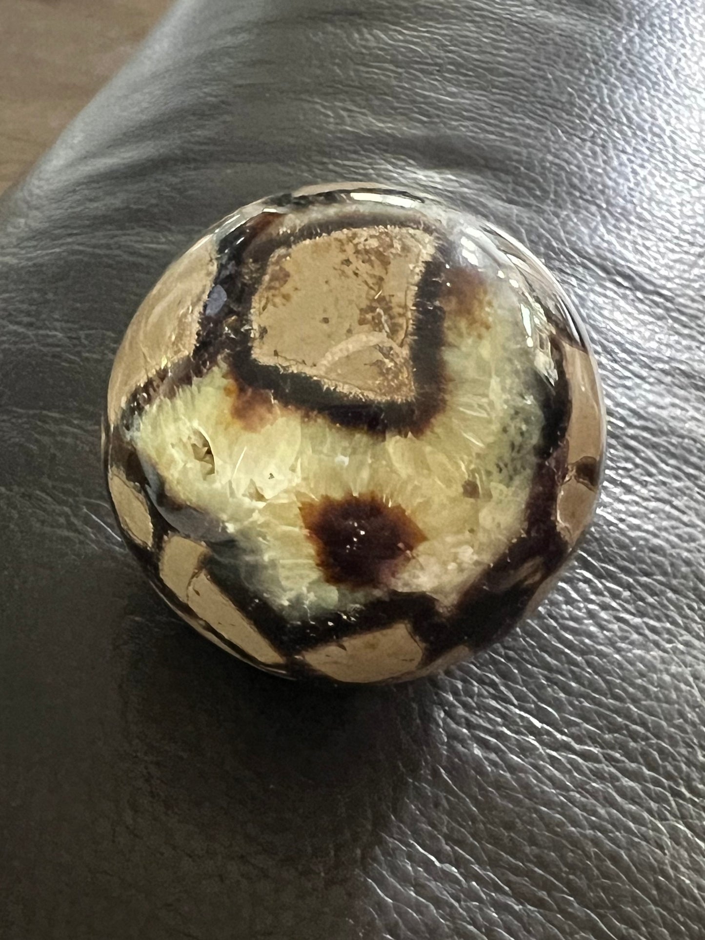 Septarian Spere