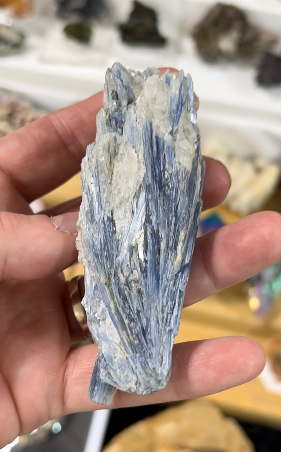 Blue Kyanite Specimen