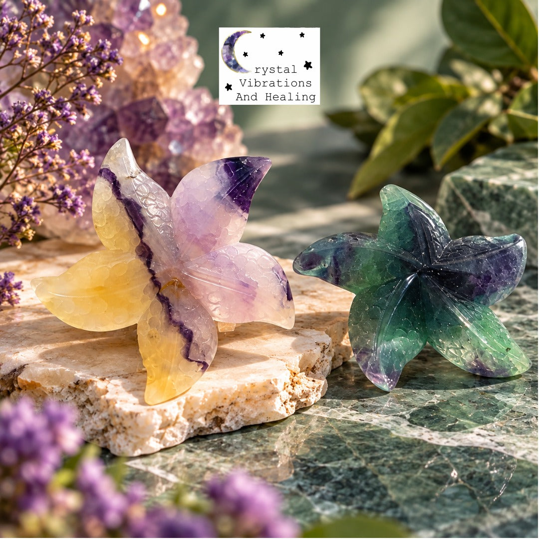 Rainbow Fluorite Starfish Carving