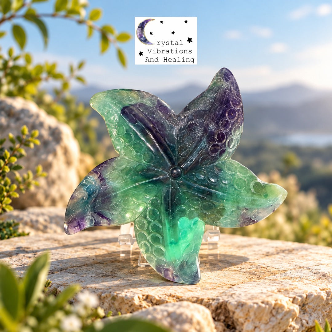 Rainbow Fluorite Starfish Carving