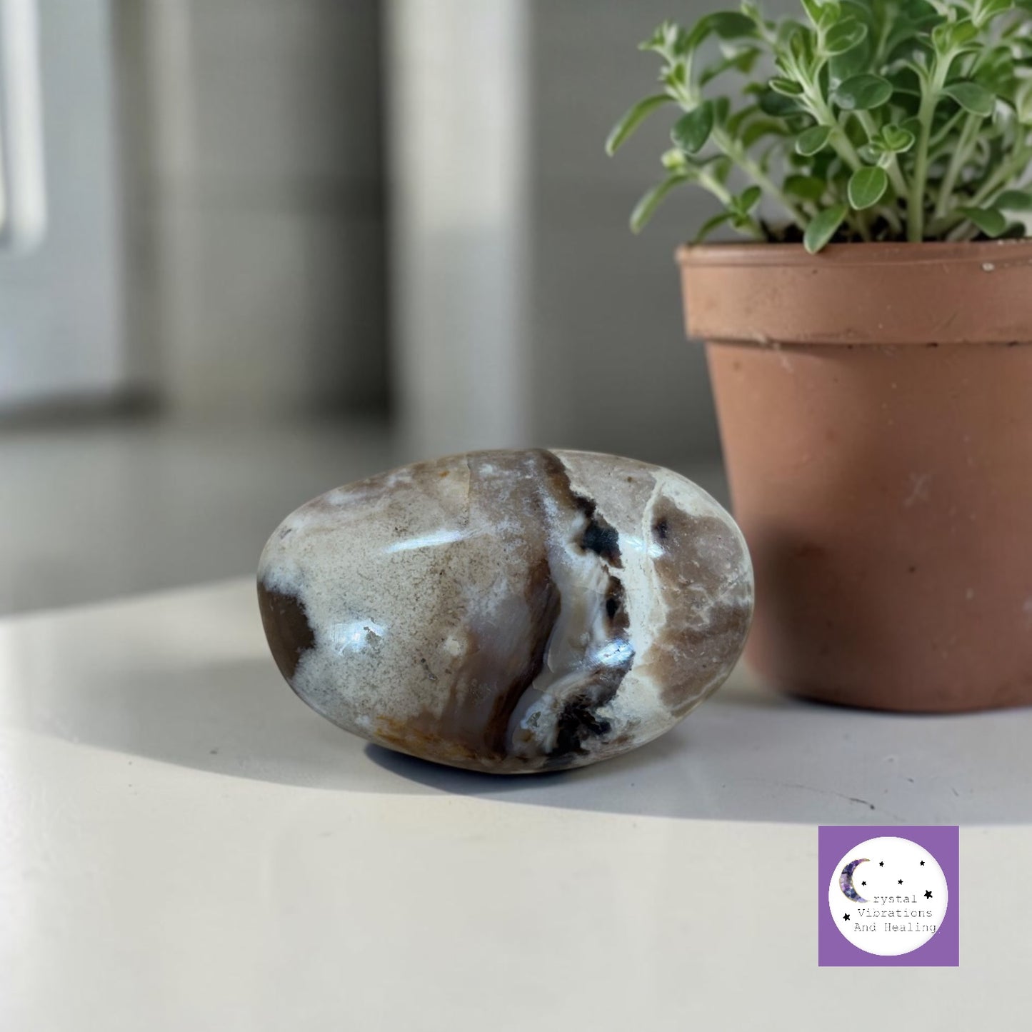 Chocolate Opal Palm Stone