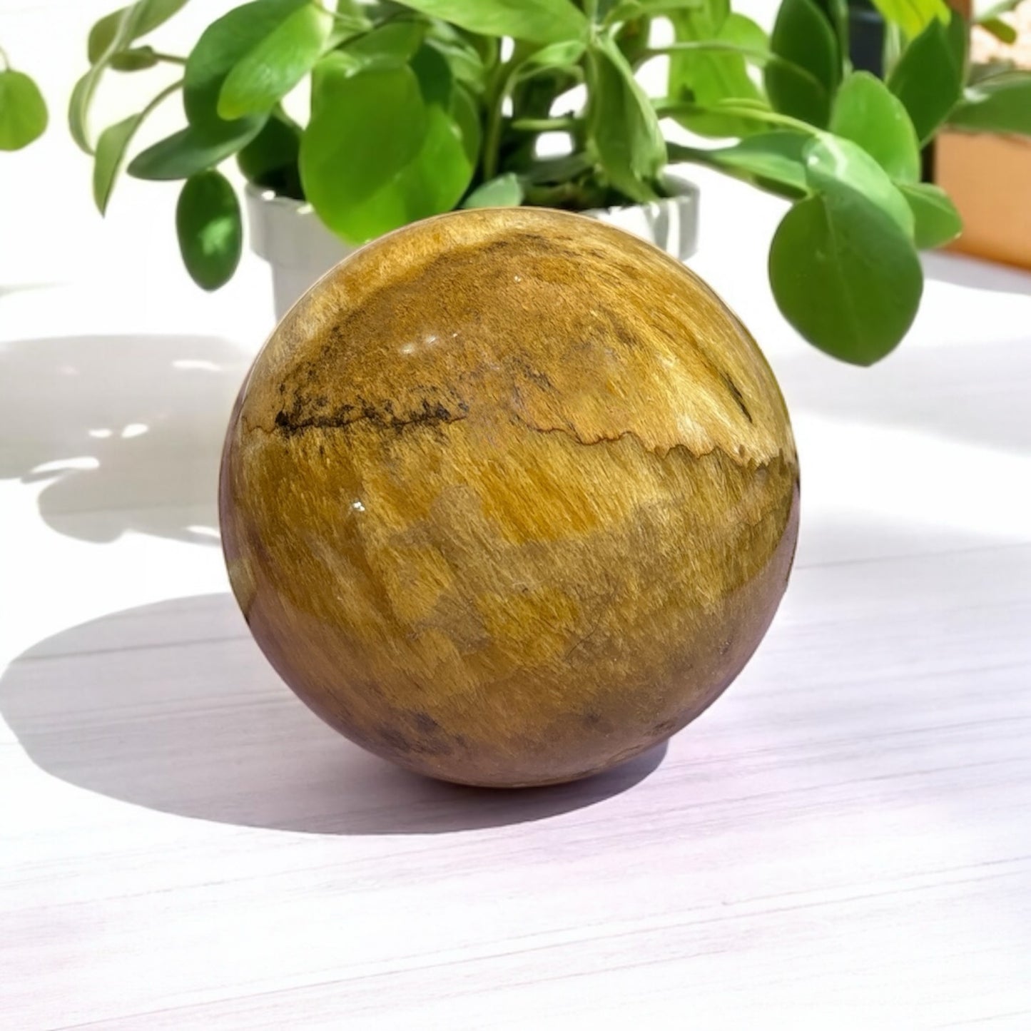 Plume Sagenite Agate Sphere **