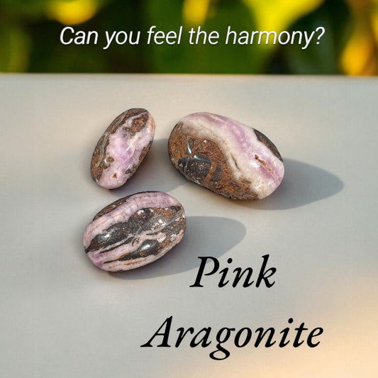 Pink Aragonite Palm Stone *