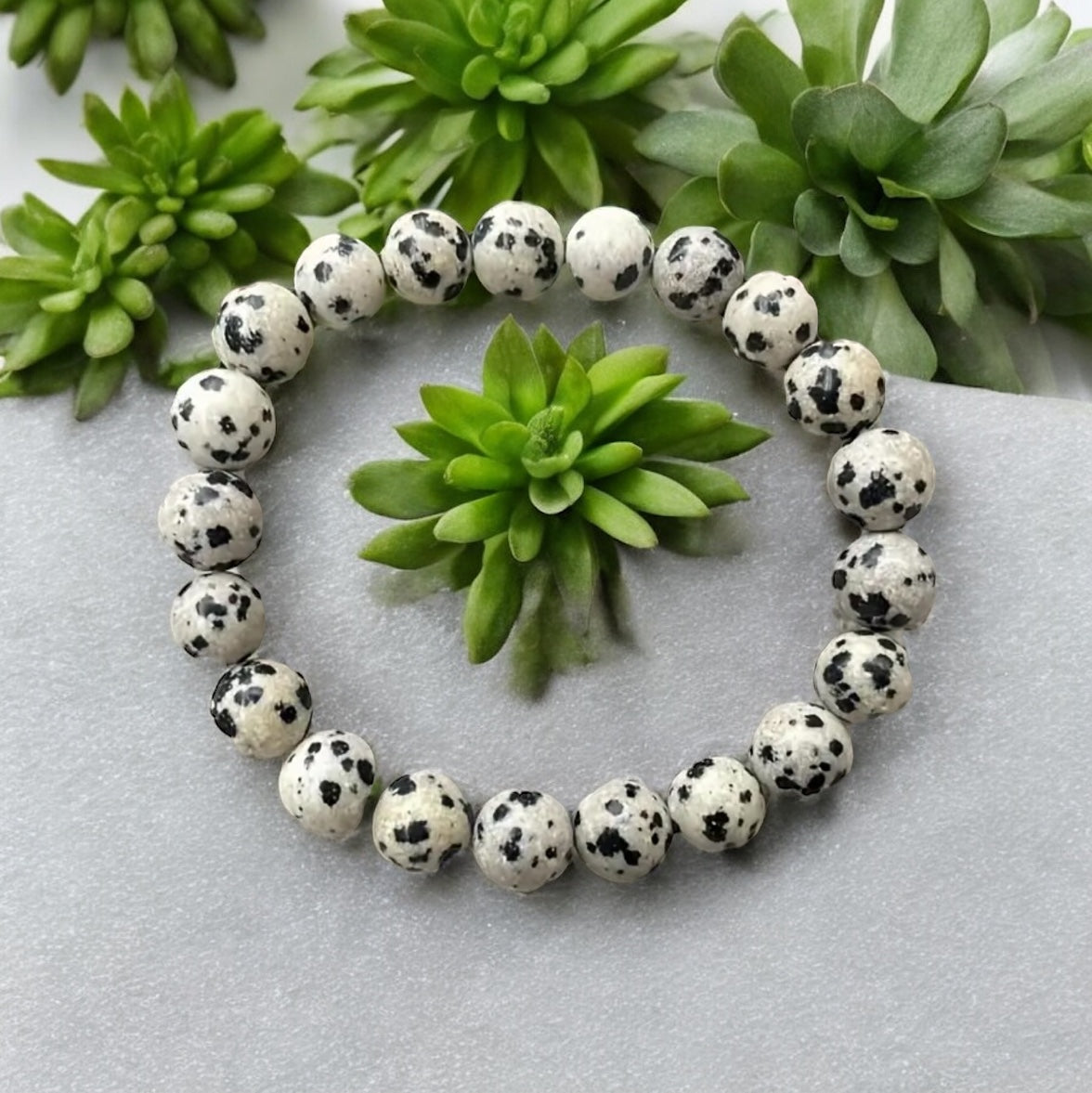 Dalmatian Jasper Bracelet