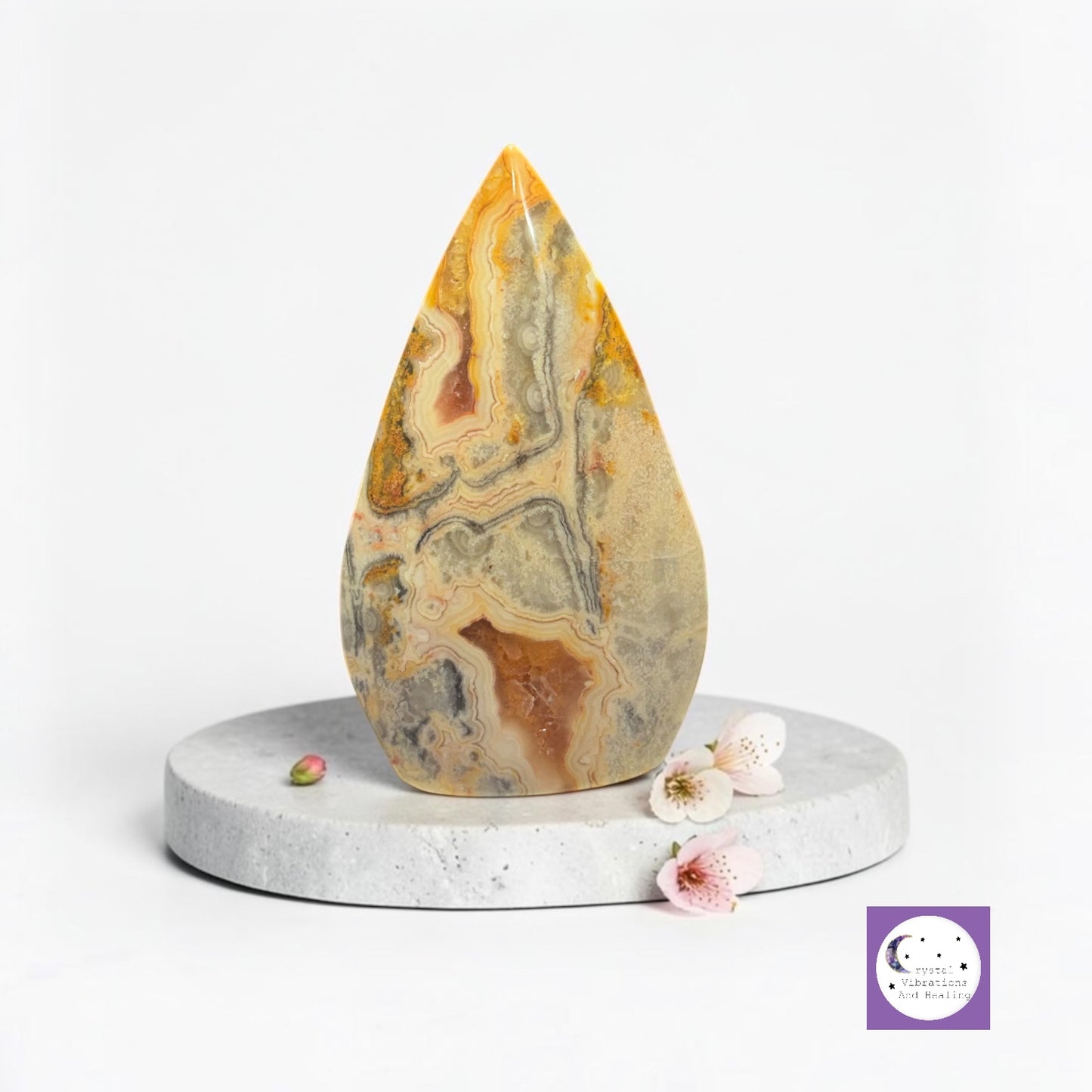 Yellow Lace Agate Freeform Teardrop **