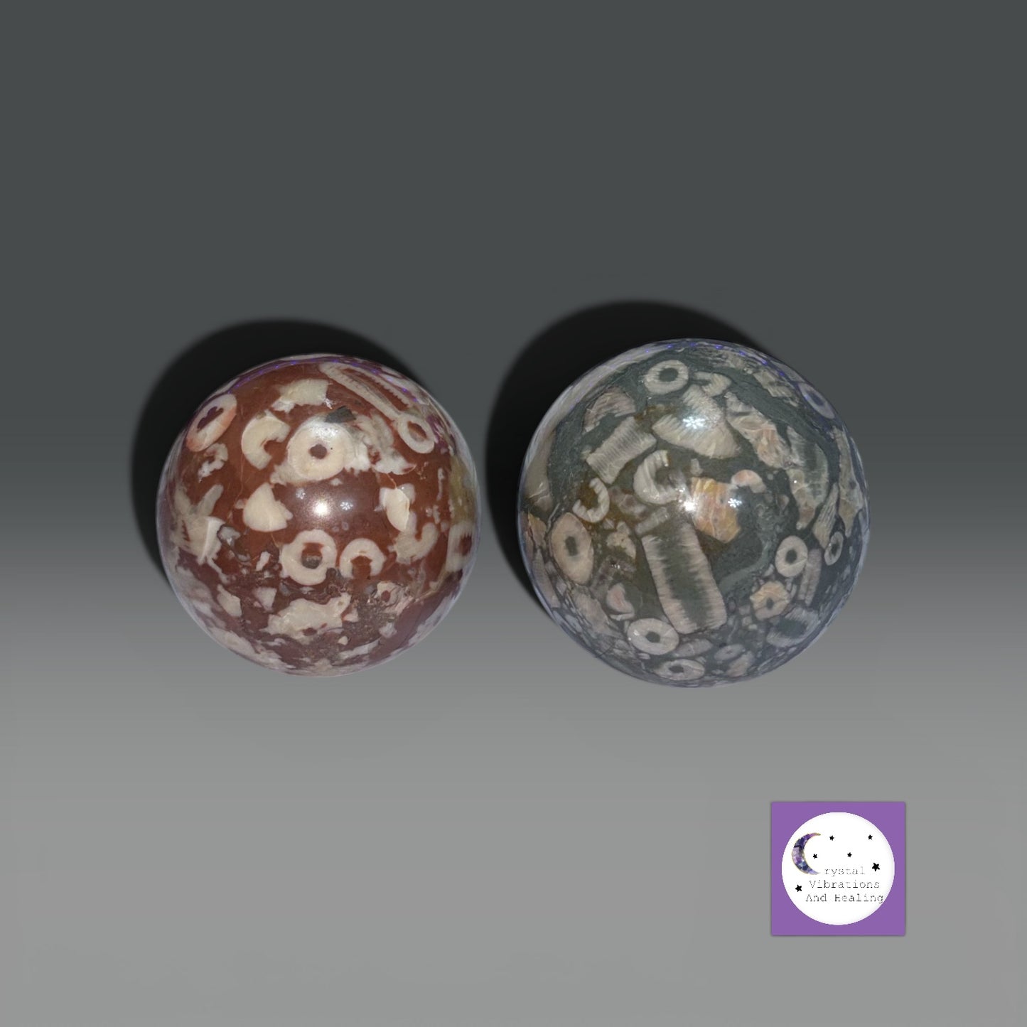 Crinoid Fossil Coral Sphere **