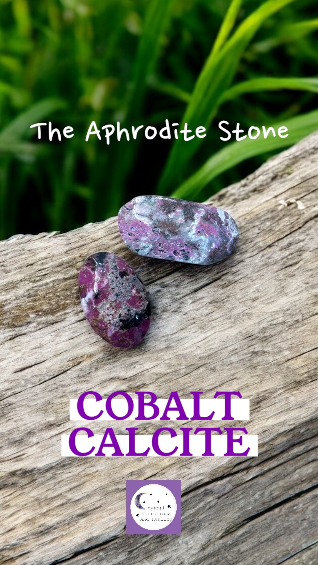 Cobalt Calcite Palm Stone *
