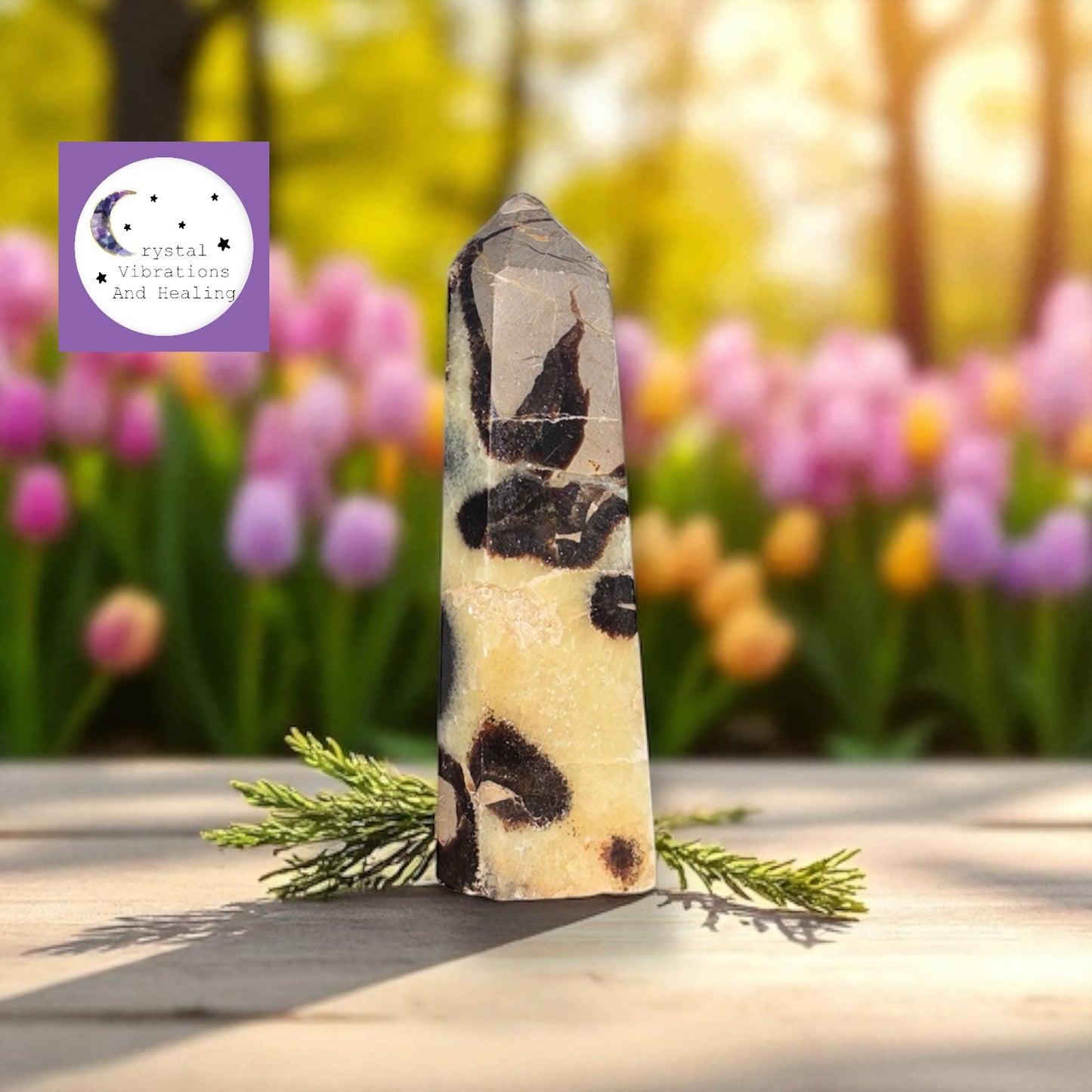 Septarian Tower Obelisk Point *