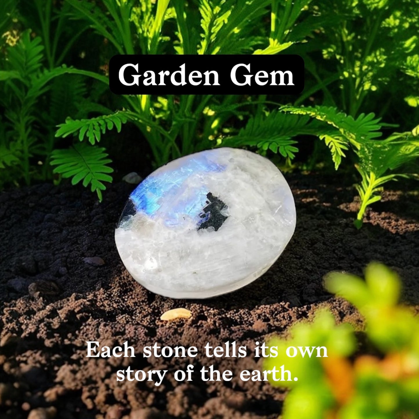Rainbow Moonstone Palm Stone