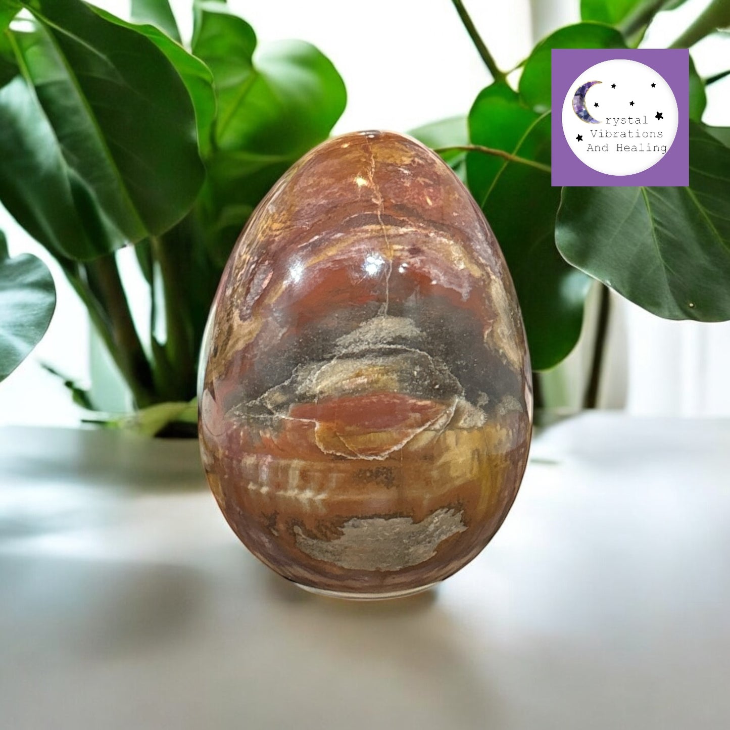Petrified Wood Jasper Egg Carving *