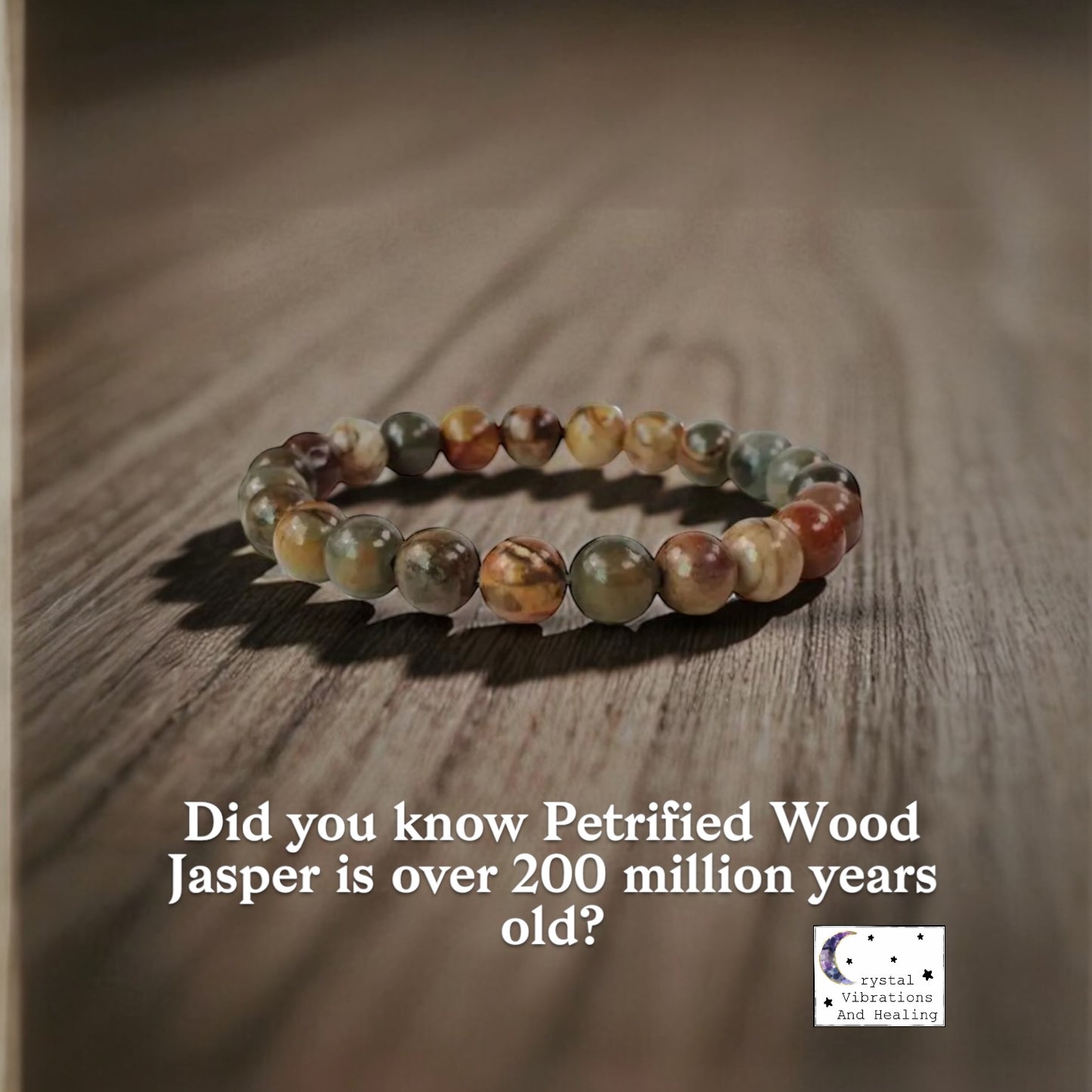 Petrified Wood Jasper Bracelet *