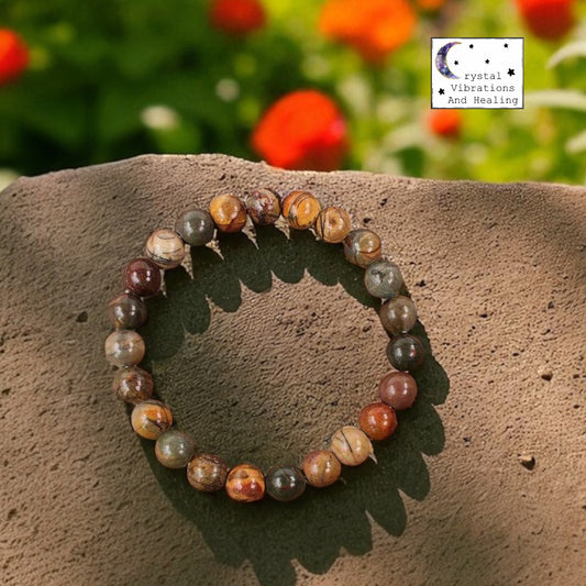 Petrified Wood Jasper Bracelet *