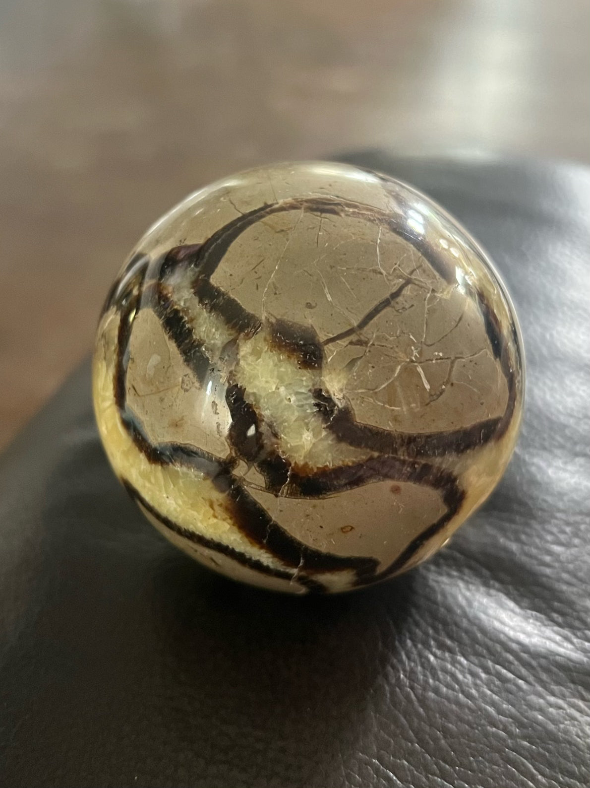 Septarian Spere