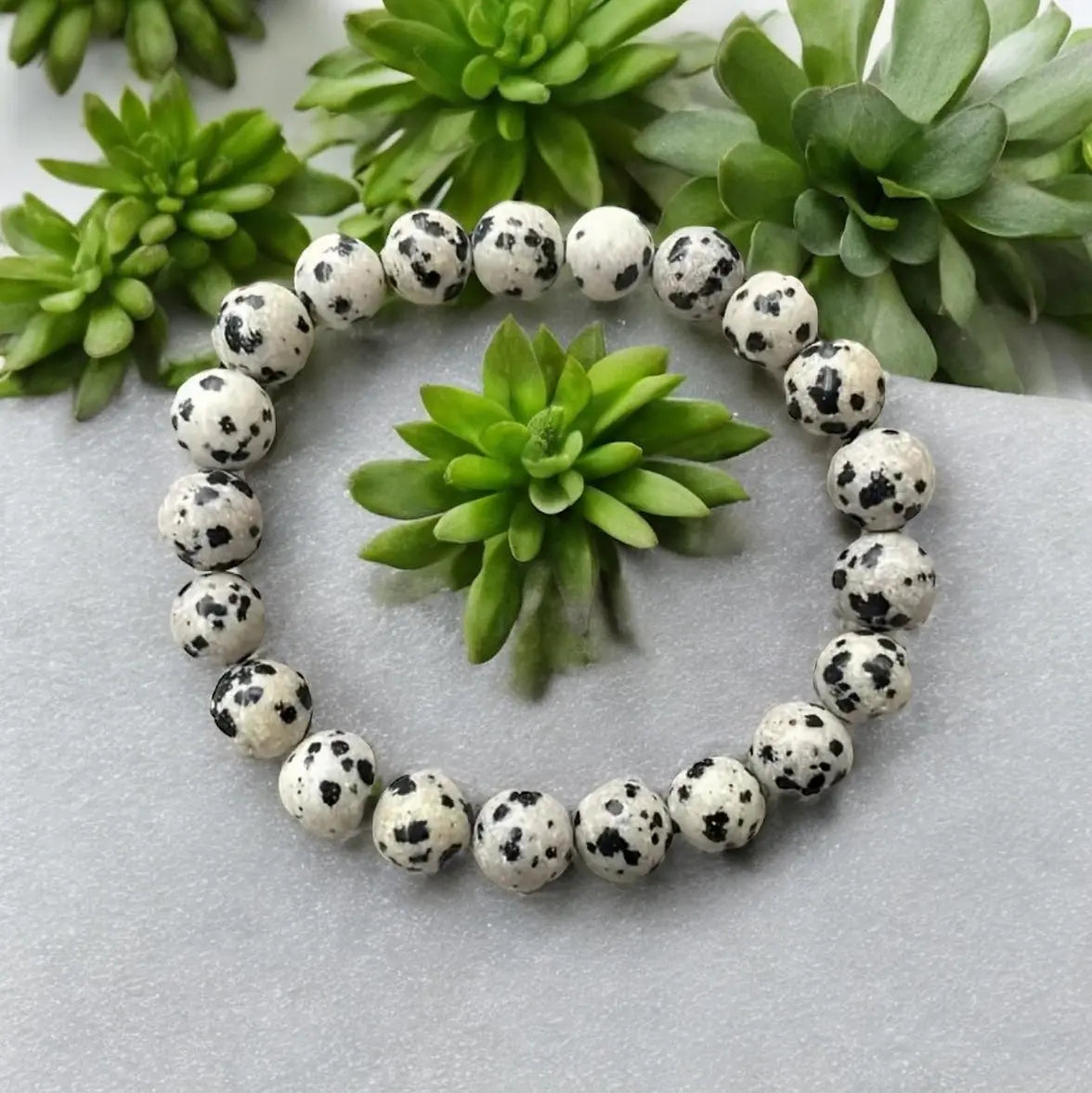 Dalmatian Jasper Bracelet - Image #1