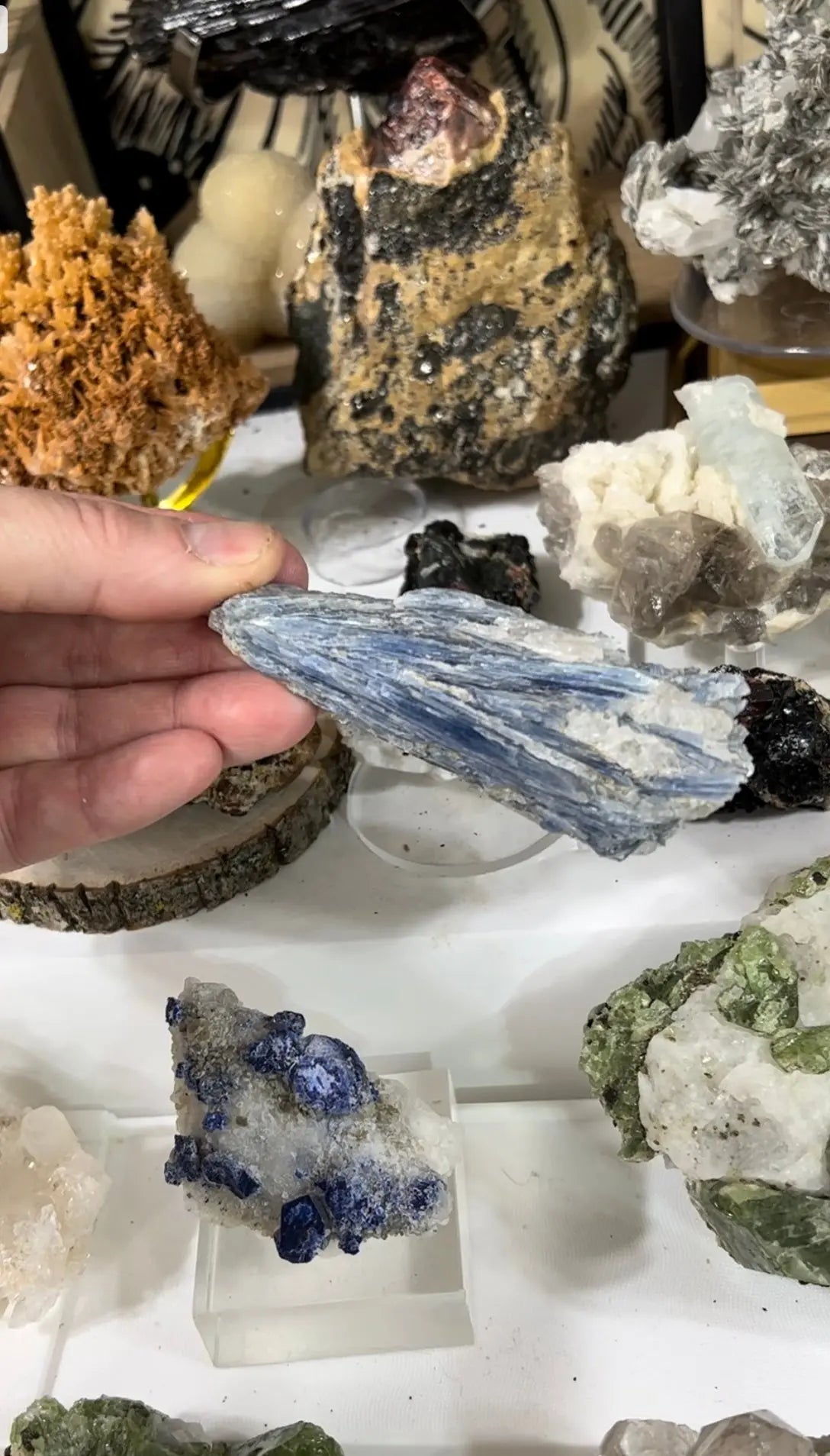 Blue Kyanite Specimen - Image #3