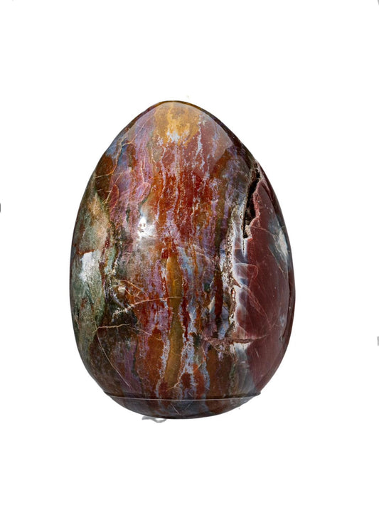 Petrified Wood Jasper Egg - Crystal Vibrations & Healing